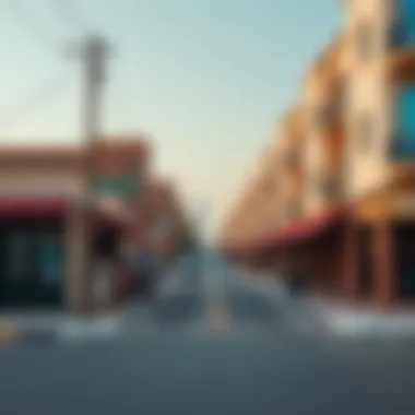 Vibrant Neighborhood in Dubai A vibrant neighborhood in Dubai with local amenities