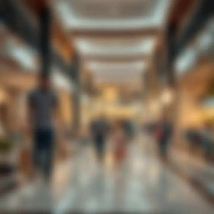 Families enjoying a day out at a budget-friendly mall in Dubai