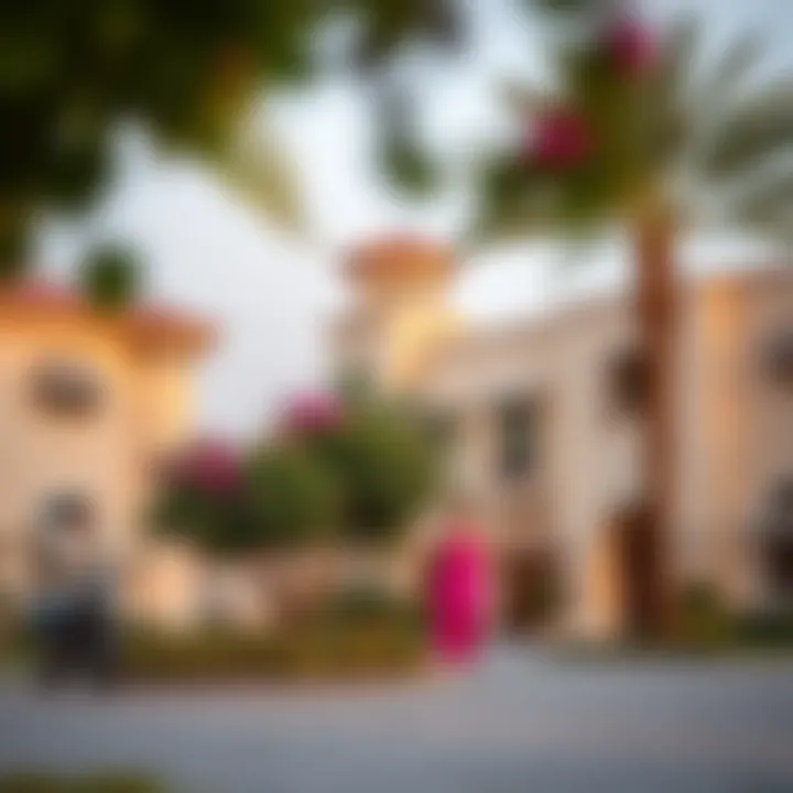 Community features of Almamsha
