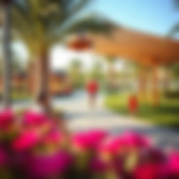 Community Park in Al Zahia Community park in Al Zahia with families enjoying leisure activities