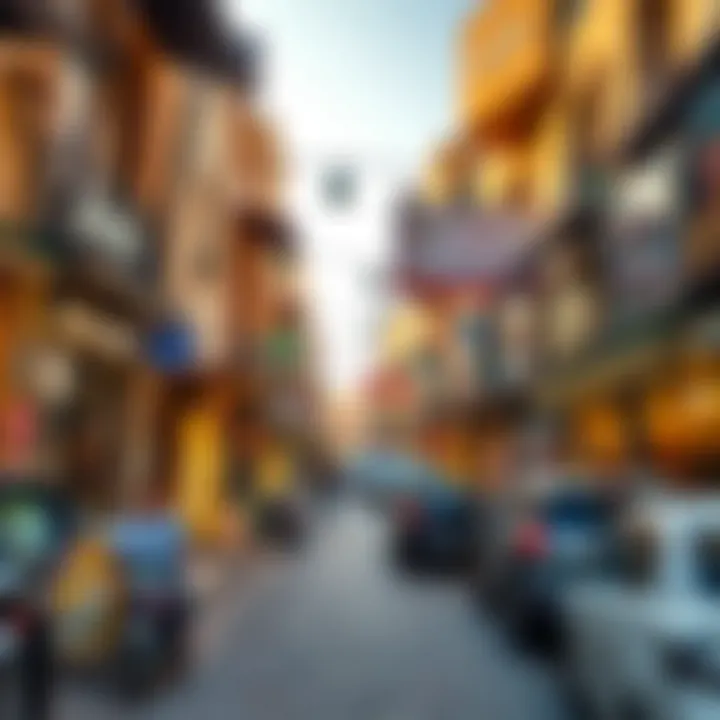 Vibrant Shopping District in Al Zahia Vibrant shopping district in Al Zahia featuring local shops