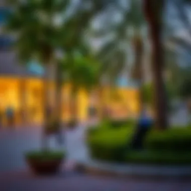 Local Amenities in Al Nahda Local amenities in Al Nahda, highlighting parks, shopping centers, and recreational facilities.