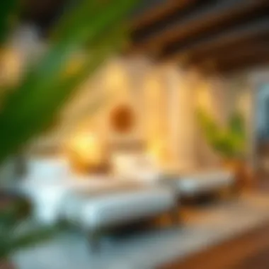 Exploring Pay Guest Options in Dubai Introduction Exploring Pay Guest Options in Dubai Introduction