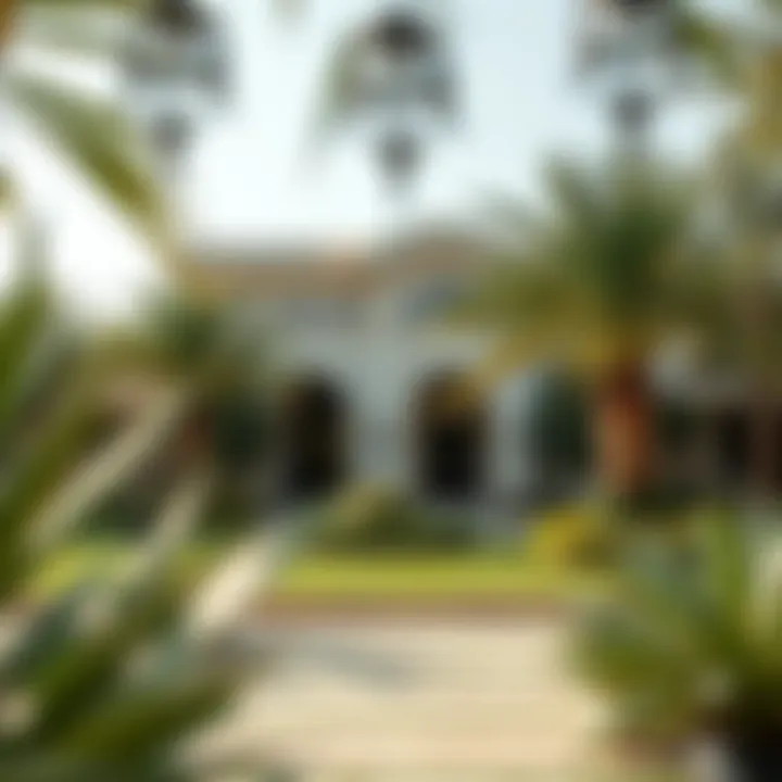 Beautiful Garden Space in Rashidiya Beautiful garden space surrounding a villa