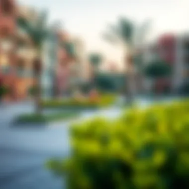 Vibrant community park in a Dubai neighborhood