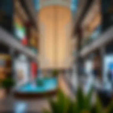 Lifestyle Amenities Enhancing the Zayed Mall Experience Lifestyle amenities available at Zayed Mall enhancing visitor experience
