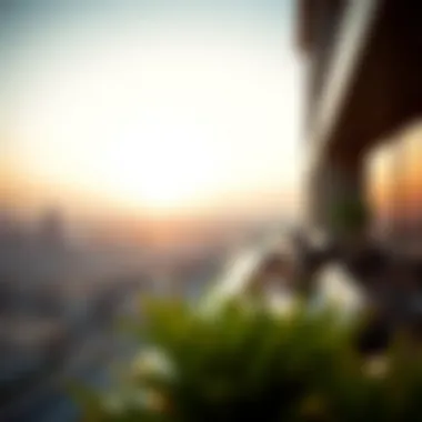 Panoramic view from Damac Prive terrace