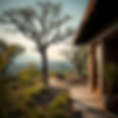 Understanding Kathura Reserve: A Comprehensive Exploration Summary