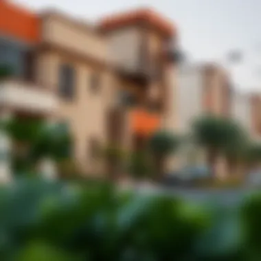 Architectural Diversity in Al Muteena Residential buildings in Al Muteena showcasing architectural style