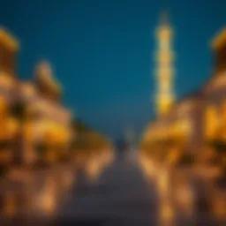 Understanding UAE Tourist Visa Validity Checks Introduction